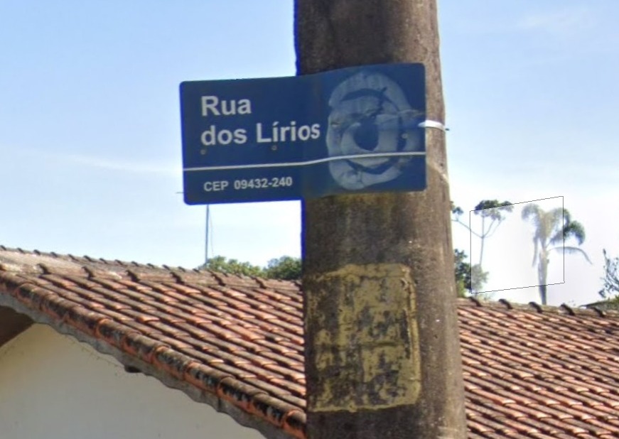 imagem da noticia